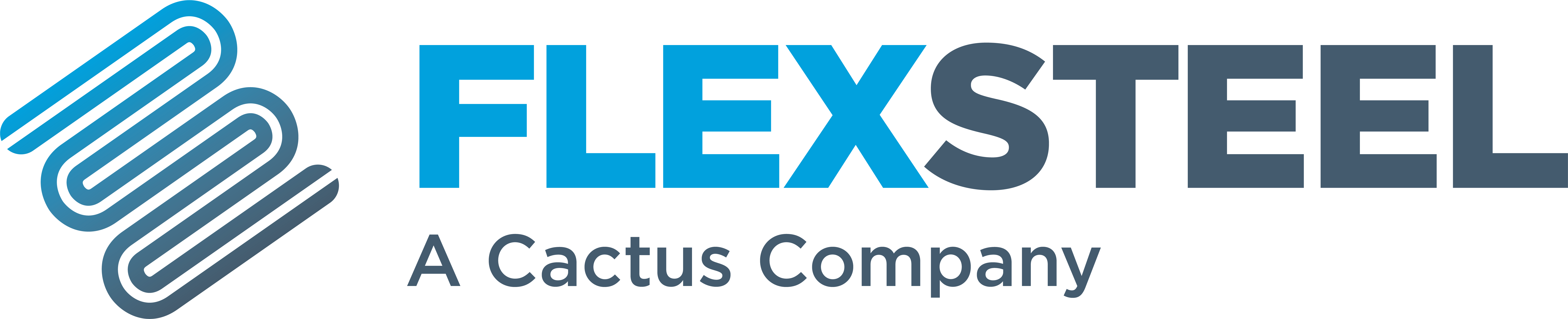FlexSteel
